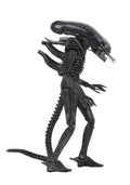 7" Action Figure P681276
