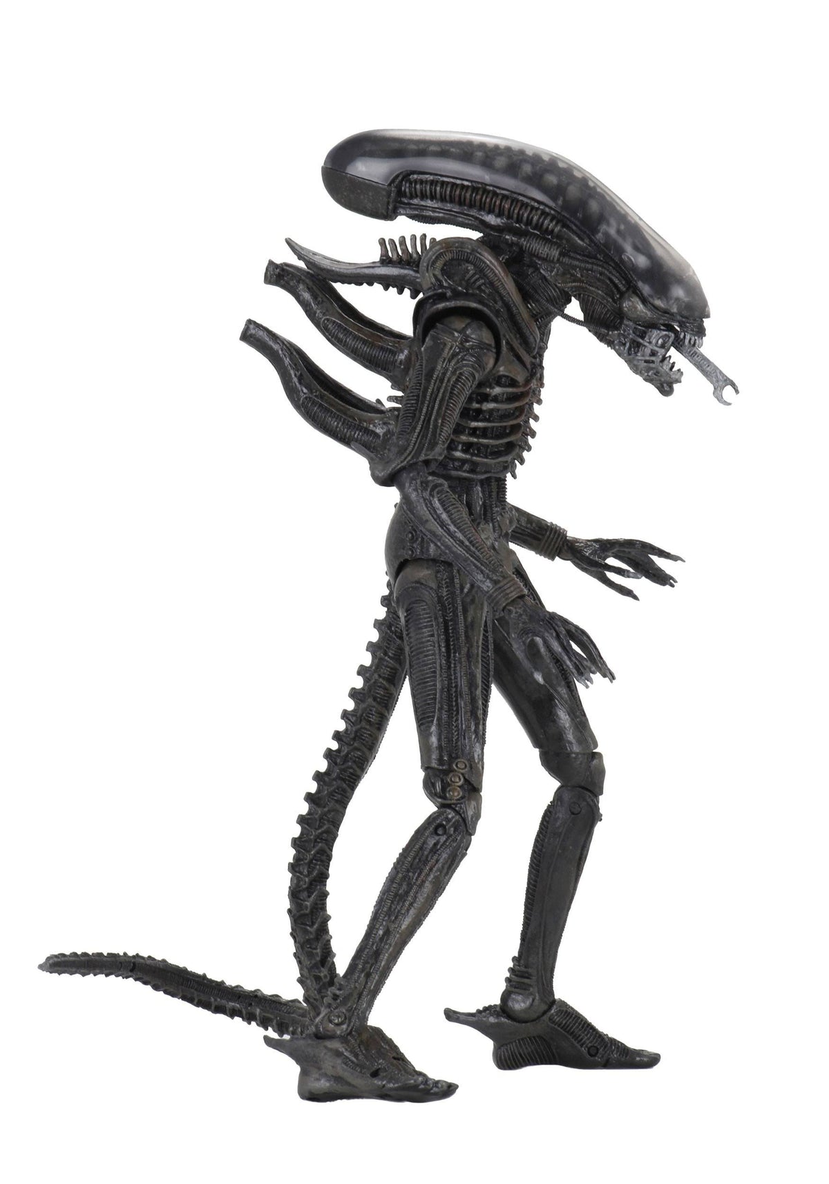 7" Action Figure P681276