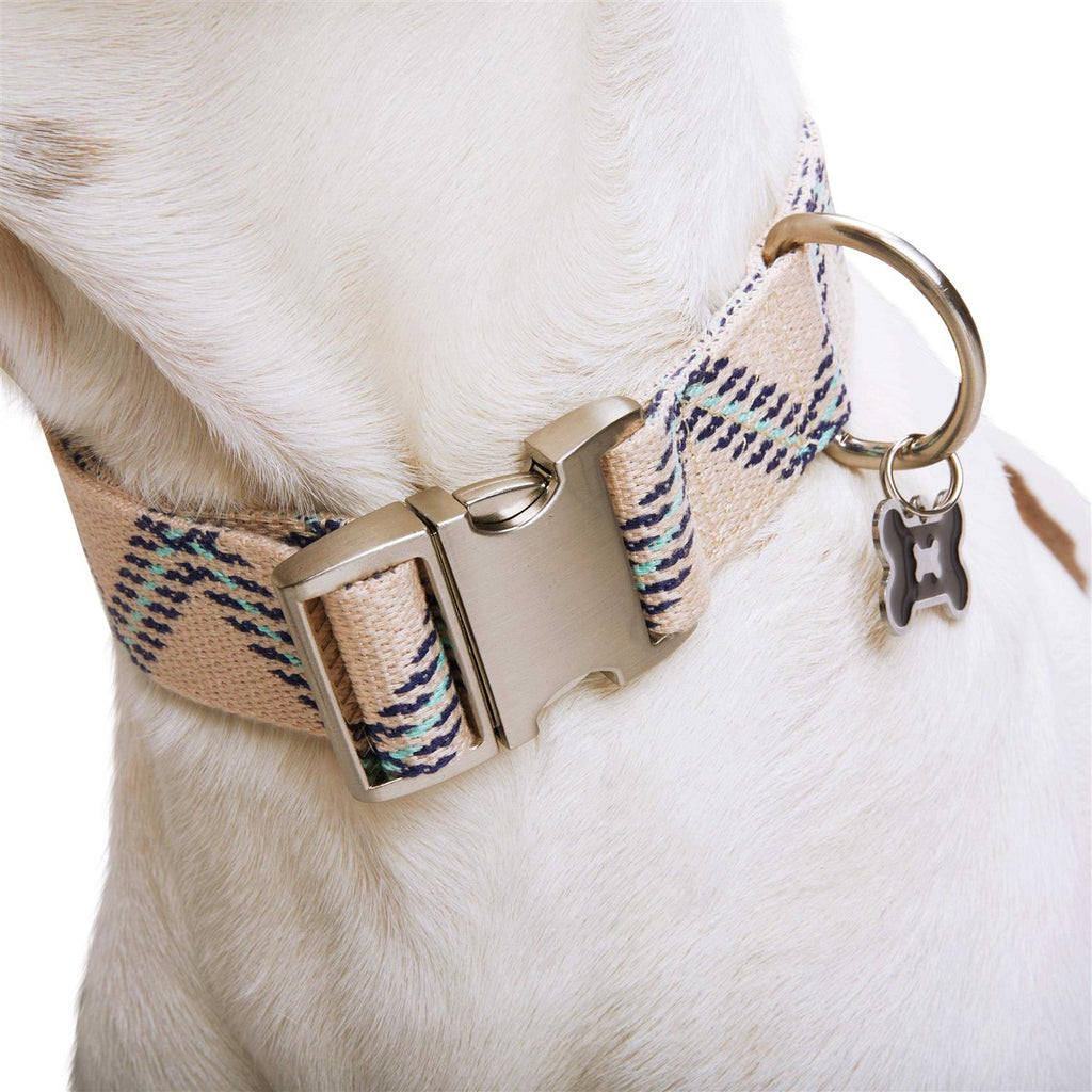 Zig Zag Dog Collar J57034