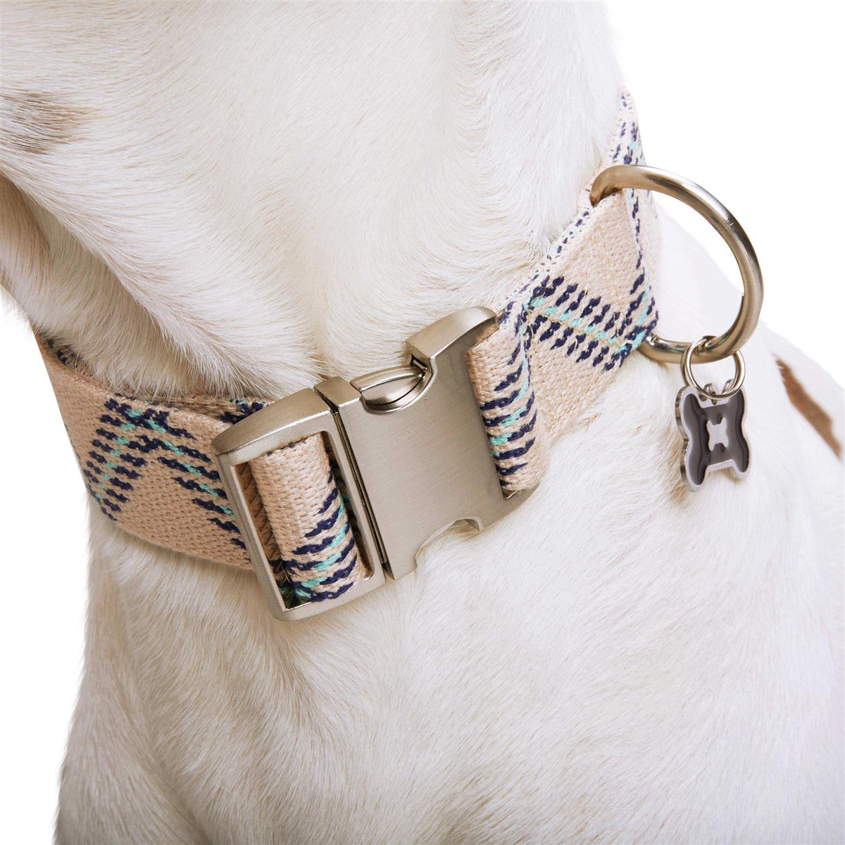 Zig Zag Dog Collar J57034