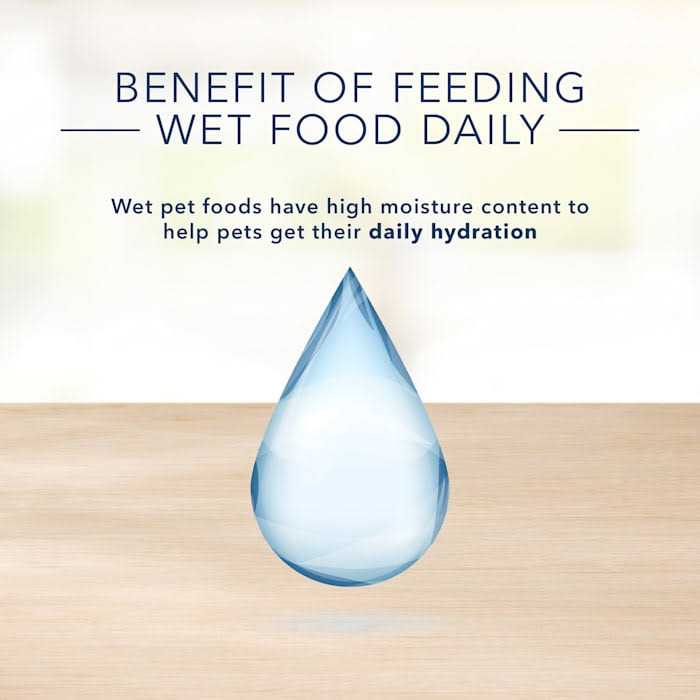 Adult Wet Cat Food J607230