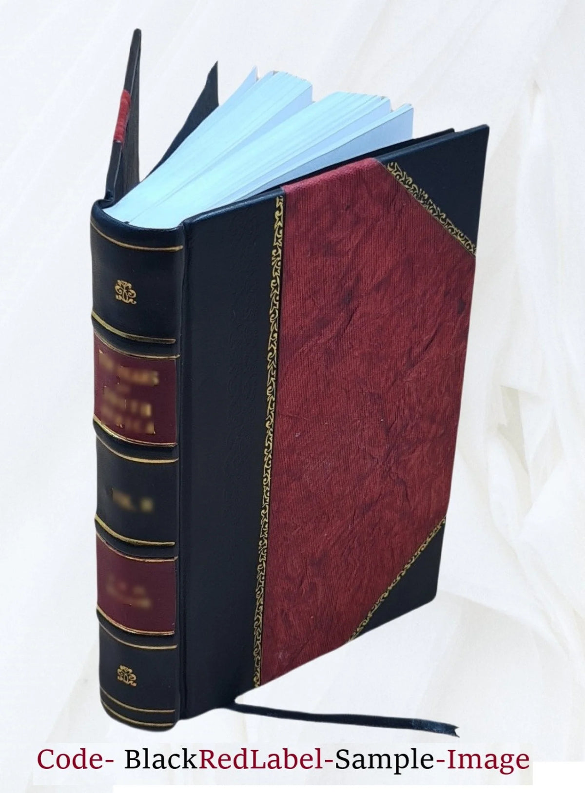 Leather Bound Book J167594